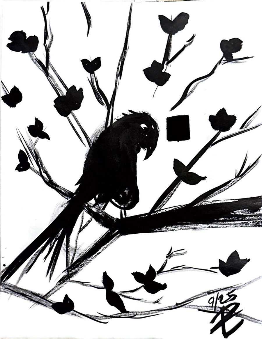 Bird